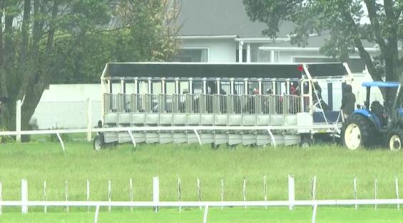 View video › View video ›