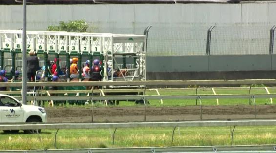 View video › View video ›