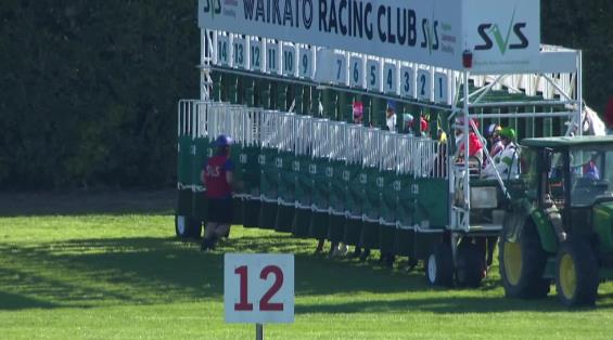 View video › View video ›