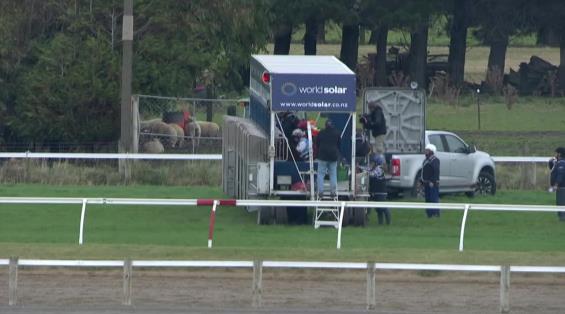 View video › View video ›