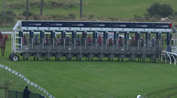 View video › View video ›