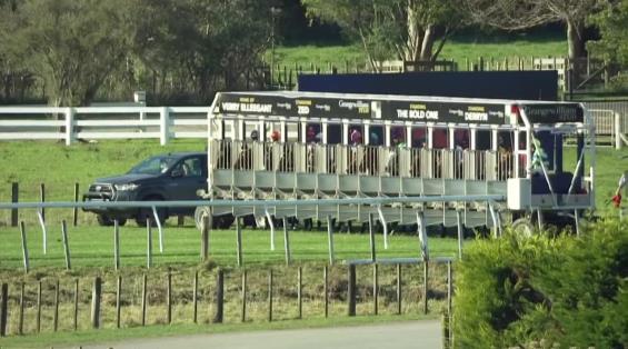 View video › View video ›