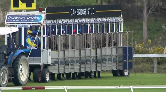 View video › View video ›