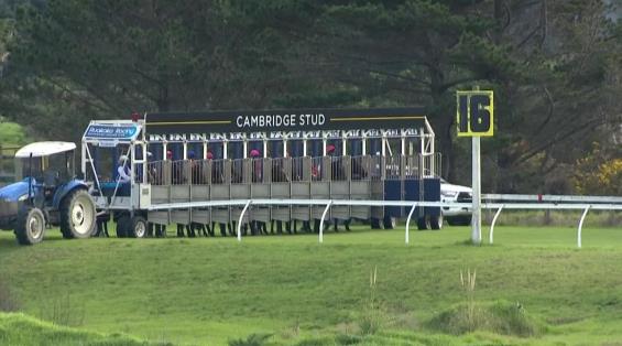 View video › View video ›