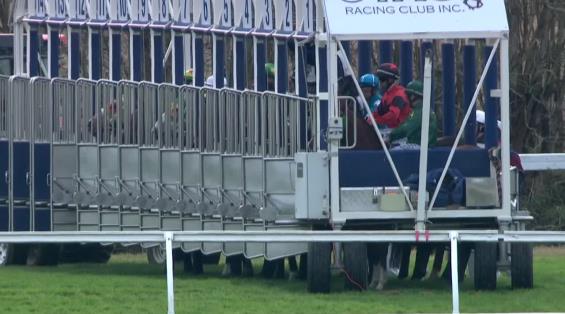 View video › View video ›