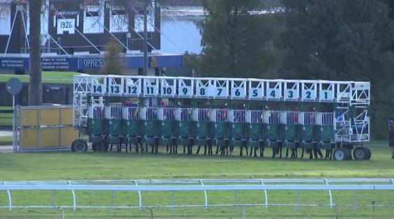 View video › View video ›