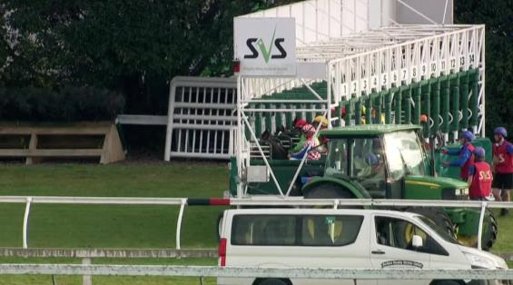 View video › View video ›