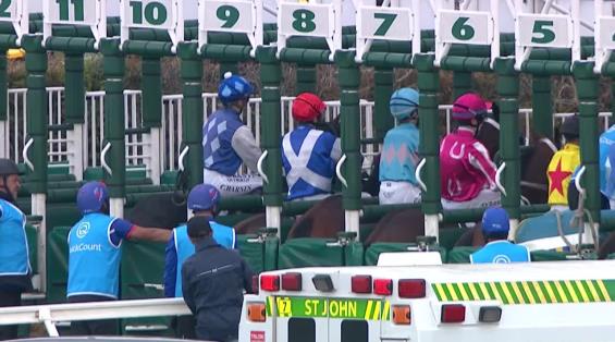 View video › View video ›