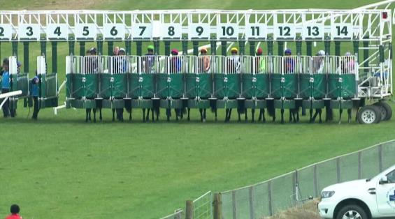 View video › View video ›