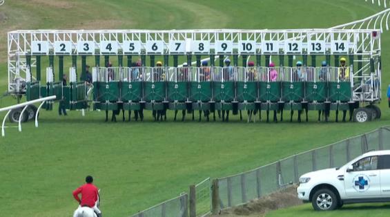 View video › View video ›