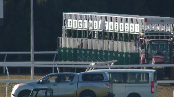 View video › View video ›