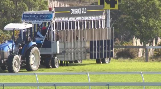 View video › View video ›