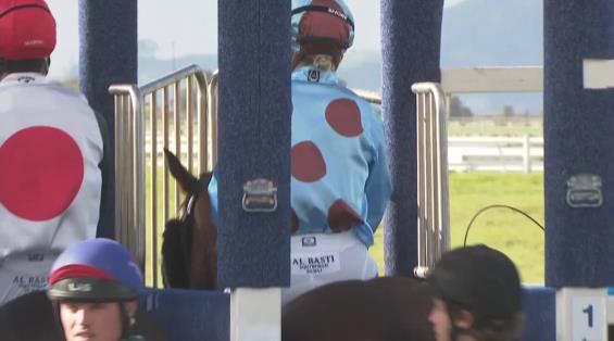 View video › View video ›