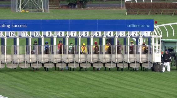 View video › View video ›