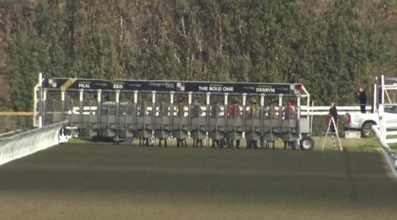 View video › View video ›