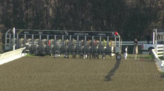 View video › View video ›