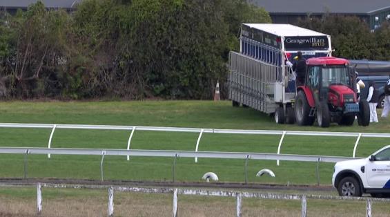 View video › View video ›