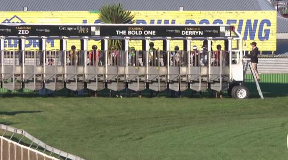 View video › View video ›