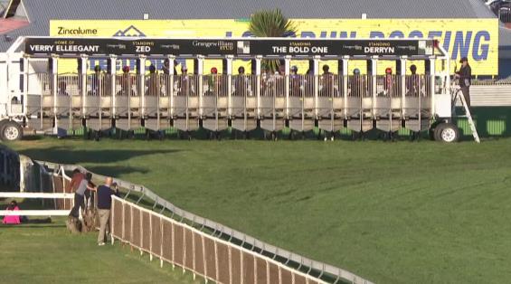 View video › View video ›