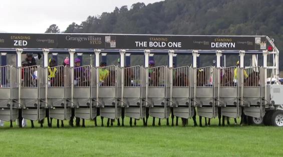 View video › View video ›