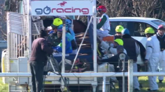 View video › View video ›