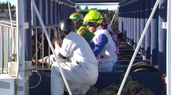 View video › View video ›