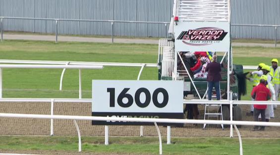 View video › View video ›