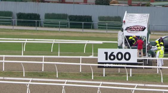 View video › View video ›