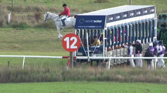 View video › View video ›