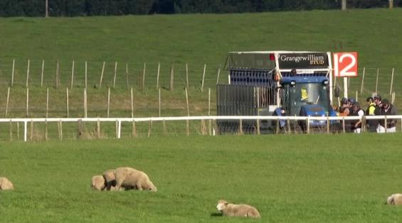 View video › View video ›