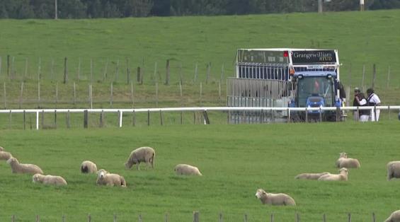 View video › View video ›