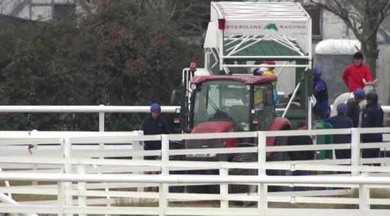 View video › View video ›