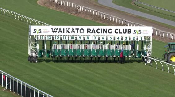 View video › View video ›