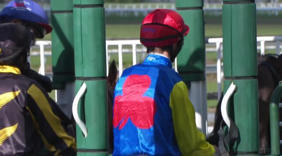 View video › View video ›