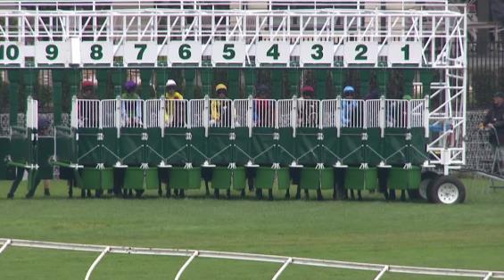 View video › View video ›