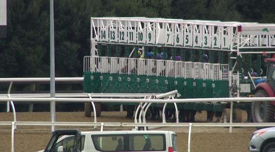 View video › View video ›