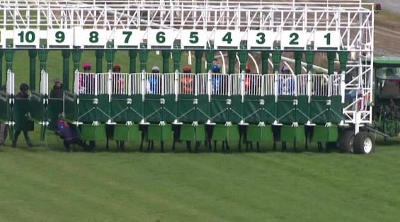 View video › View video ›