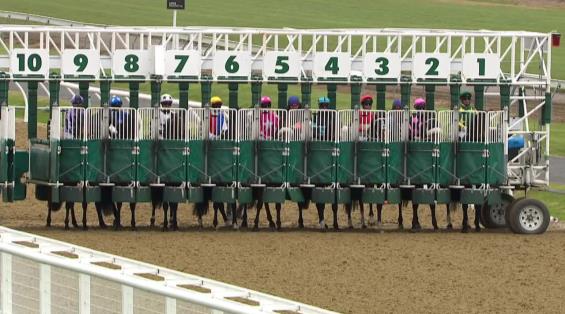 View video › View video ›