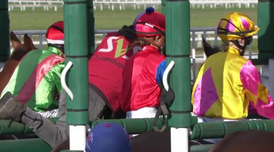 View video › View video ›