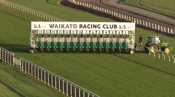 View video › View video ›