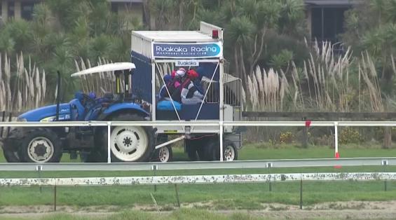 View video › View video ›