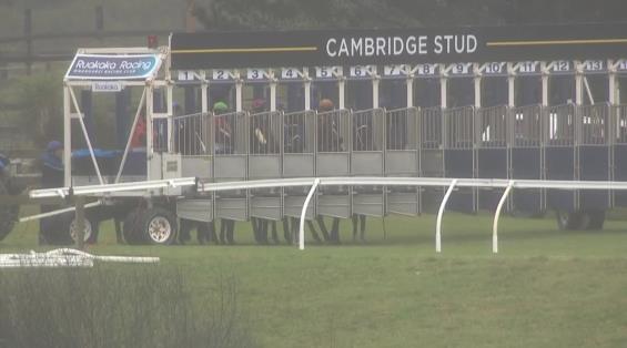 View video › View video ›