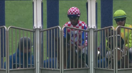 View video › View video ›