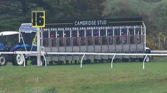 View video › View video ›