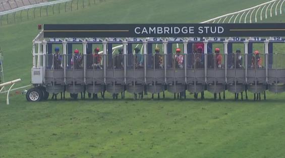 View video › View video ›