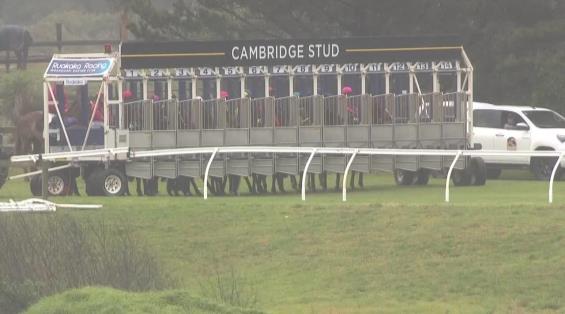 View video › View video ›