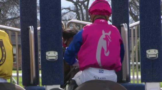 View video › View video ›