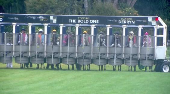 View video › View video ›