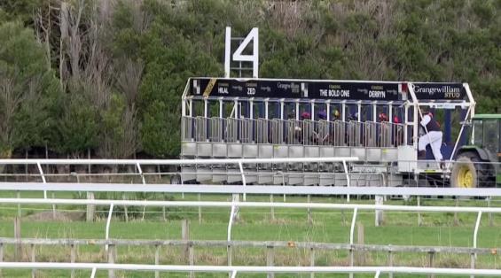 View video › View video ›