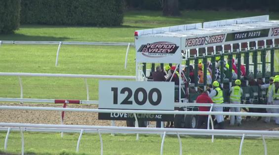 View video › View video ›